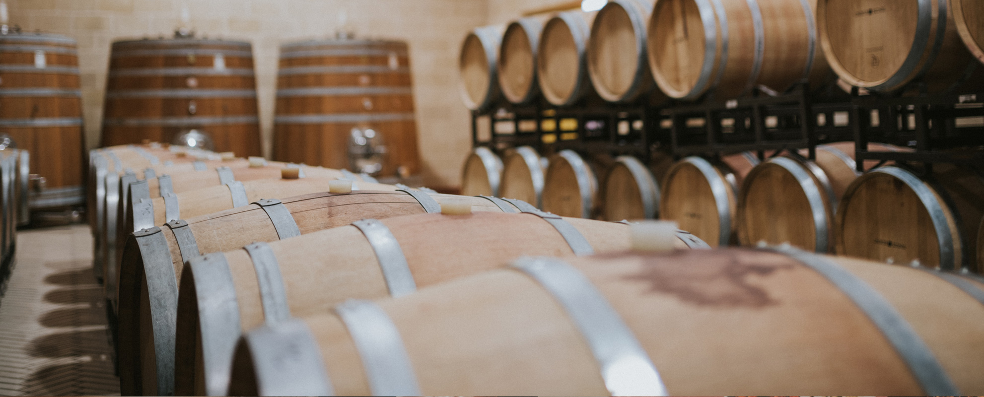 Events dedicated to wine lovers light up Puglia’s summer season
