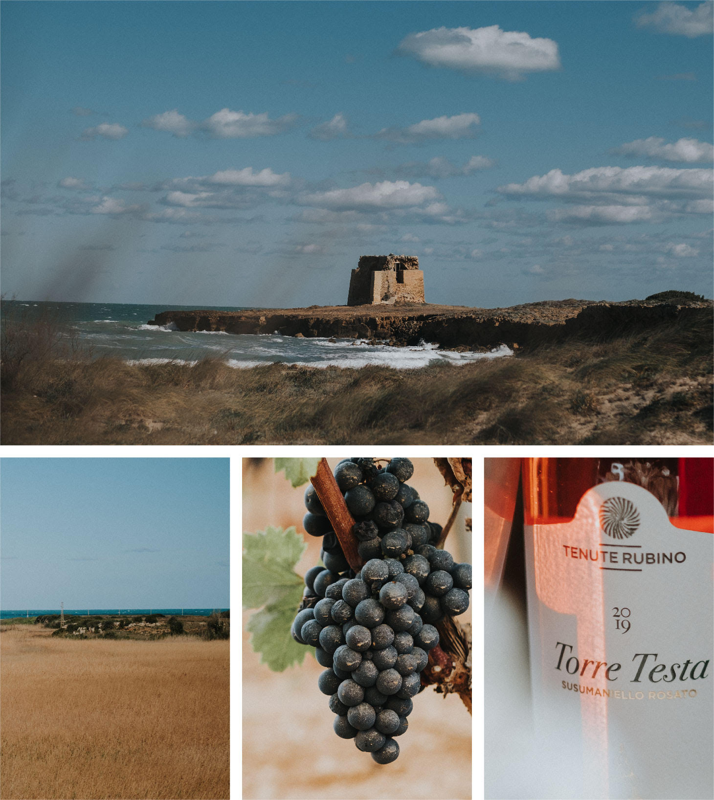 Torre Testa Rosato 2019 - Tenute Rubino | I vini della Puglia