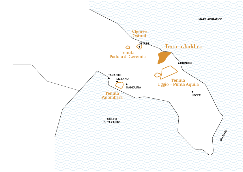 Tenuta Jaddico | Tenute Rubino | I Vini della Puglia | La Casa del Susumaniello