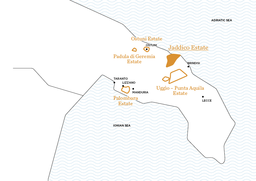 Tenuta Jaddico | Tenute Rubino | I Vini della Puglia | La Casa del Susumaniello