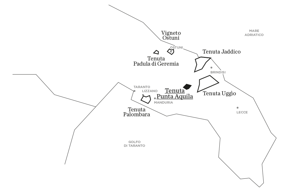 Punta Aquila | Le tenute di Tenute Rubino - Casa del Susumaniello