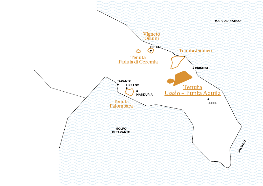 Uggìo-Punta Aquila | Le tenute di Tenute Rubino - Casa del Susumaniello Uggìo-Punta Aquila | Le tenute di Tenute Rubino - Casa del Susumaniello