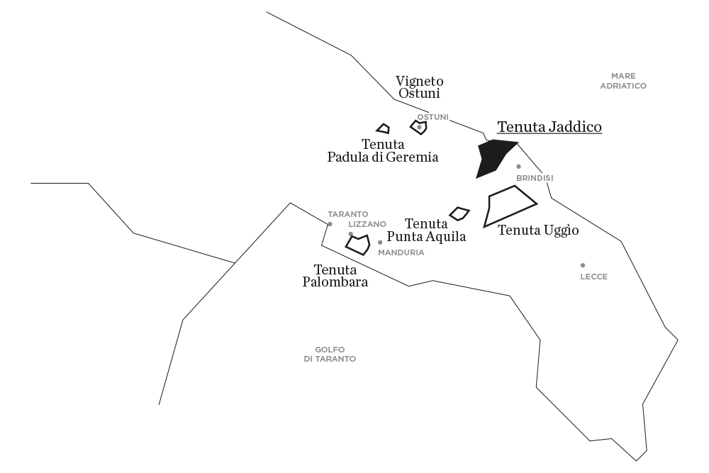 Jaddico | Tenute Rubino | I Vini della Puglia