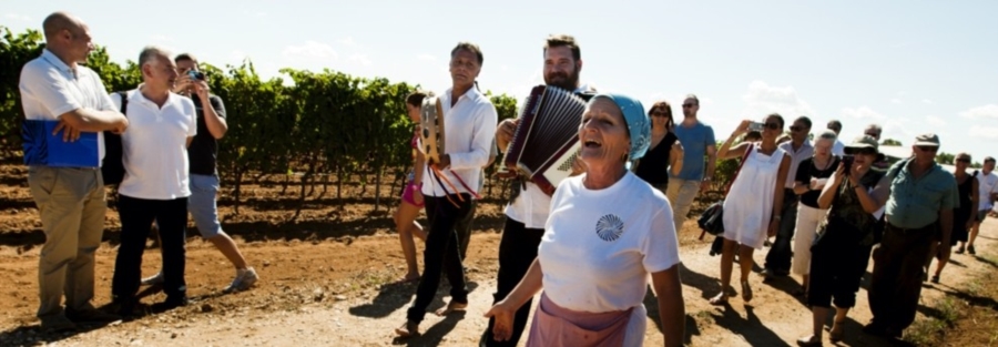 LA VENDEMMIA DELLE DONNE A TENUTE RUBINO