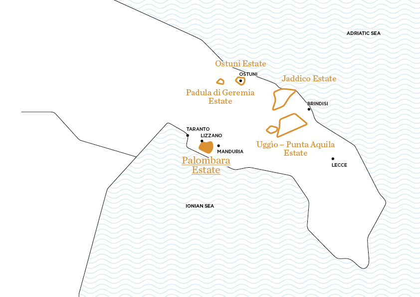 Palombara_EN Palombara | Le tenute di Tenute Rubino - Casa del Susumaniello