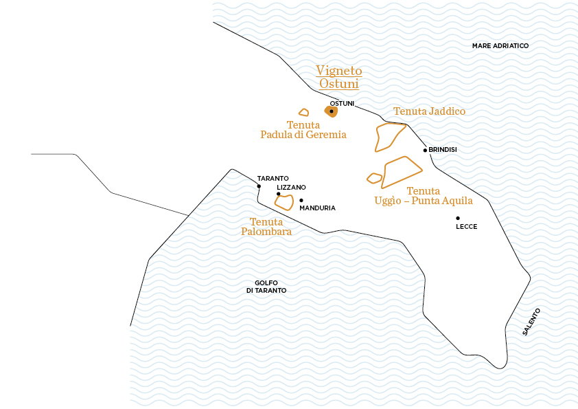 Il Vigneto di Ostuni | Le tenute di Tenute Rubino - Casa del Susumaniello Il Vigneto di Ostuni | Le tenute di Tenute Rubino - Casa del Susumaniello