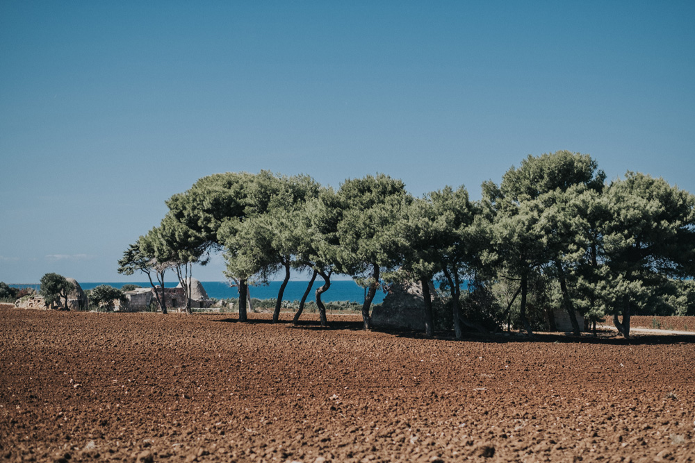 Famiglia Rubino | Tenute Rubino Brindisi | I Vini della Puglia