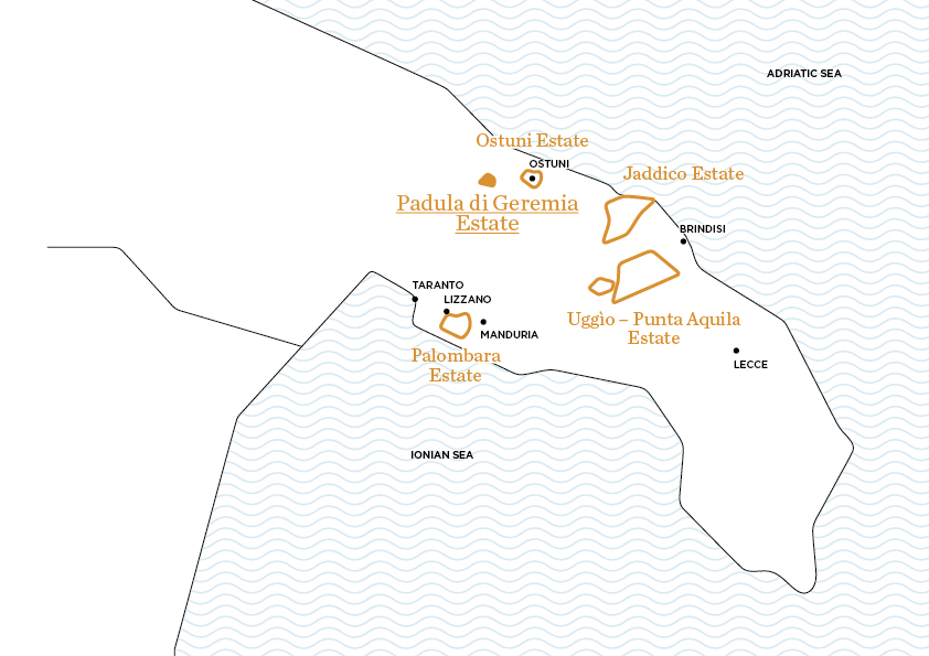 Padula di Geremia | Le tenute di Tenute Rubino - Casa del Susumaniello Padula di Geremia | Le tenute di Tenute Rubino - Casa del Susumaniello