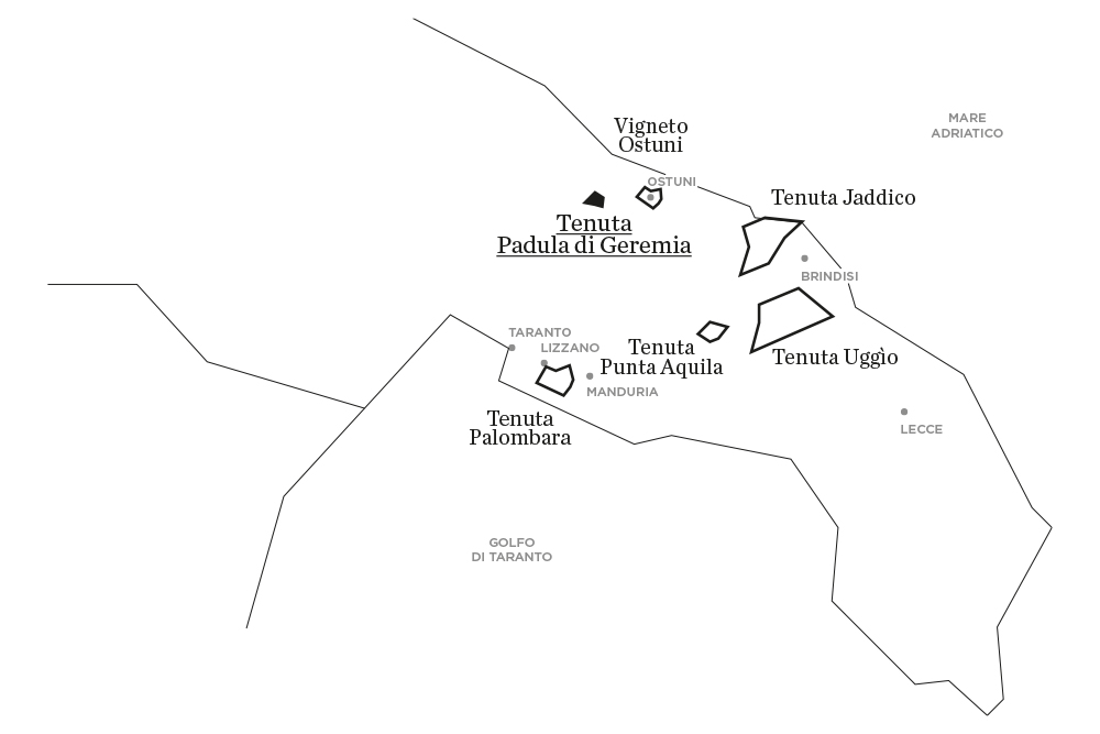 Padula di Geremia | Le tenute di Tenute Rubino - Casa del Susumaniello