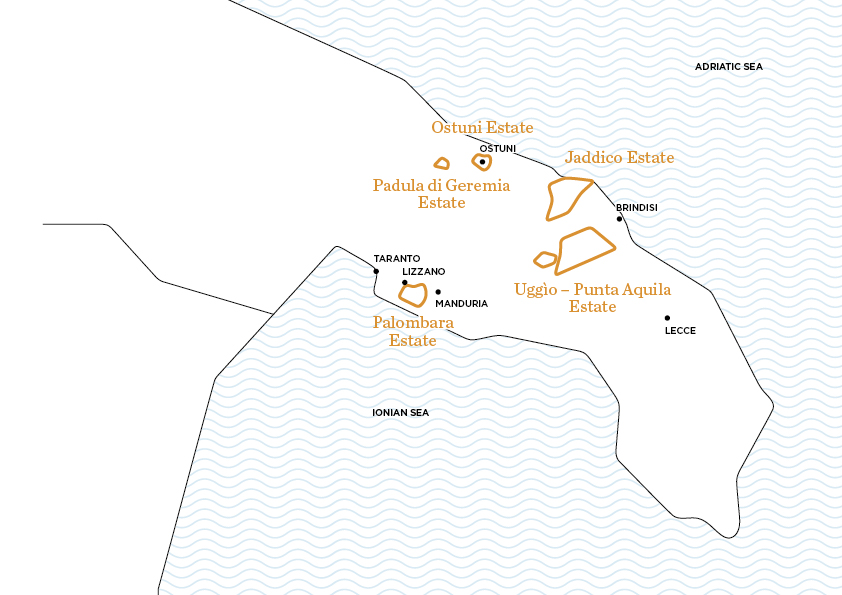 Le tenute di Tenute Rubino - Casa del Susumaniello
